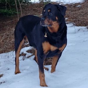 Meet your Posher, Jodi